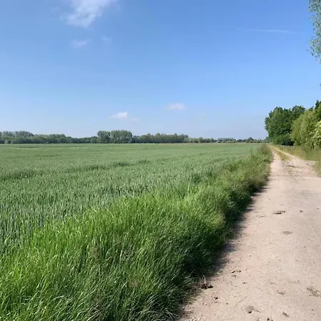 Daire In Near The Nieuwpoort