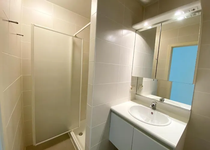 Appartement In Near The Nieuport