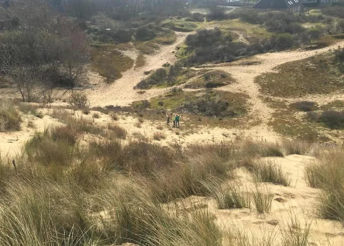 In Near The Appartement