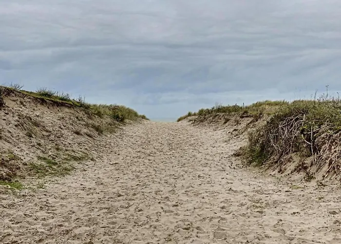 In Near The Nieuport