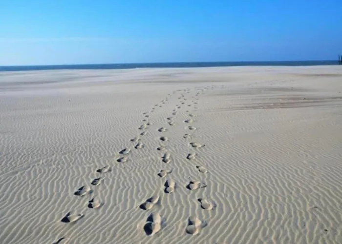 In Near The Appartement