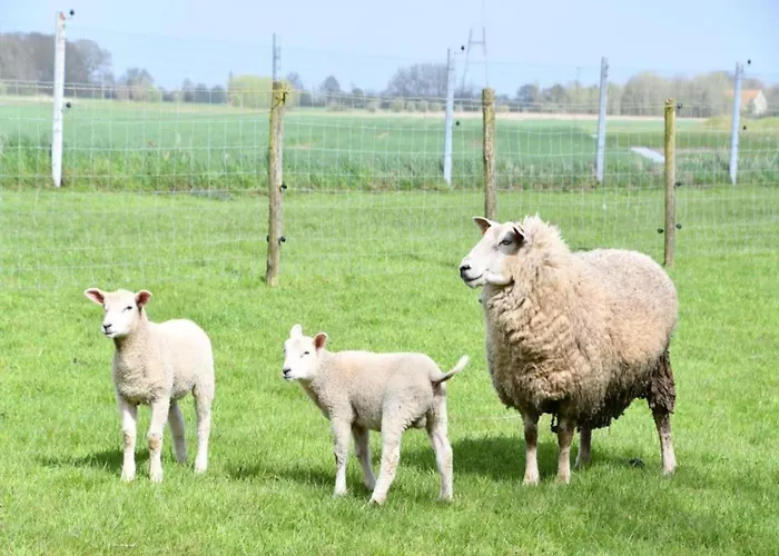 Appartement In Near The