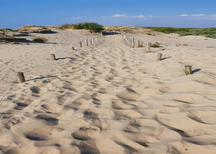 Appartement In Near The *