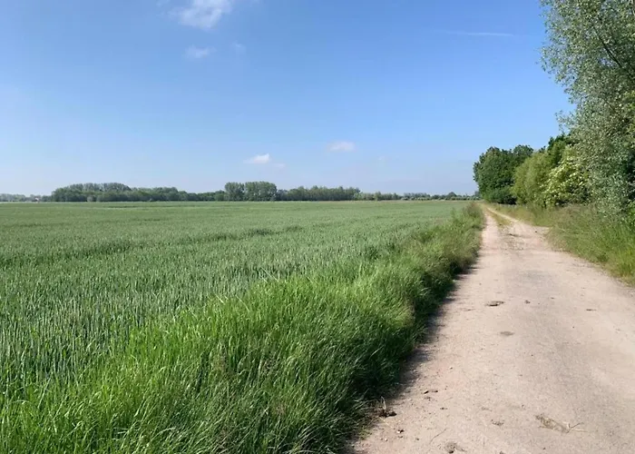 Appartement In Near The Nieuport