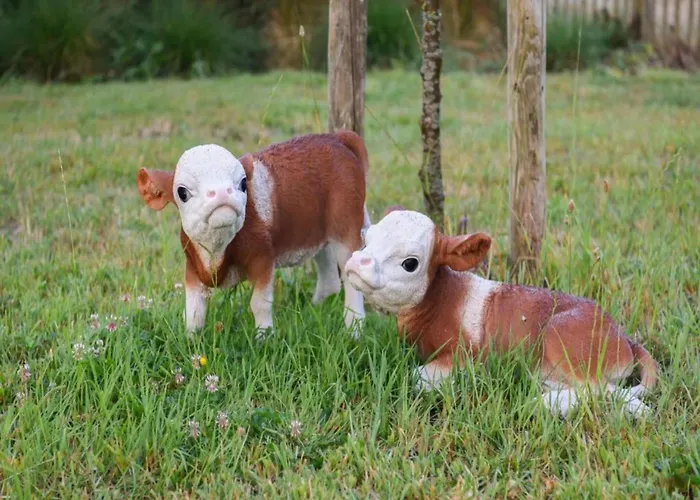 In Near The Appartement