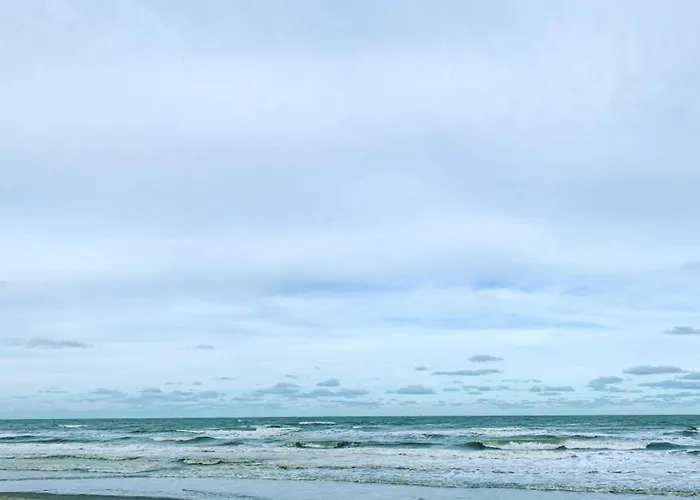 In Near The Nieuport